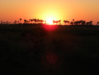 Botswana, afrika safari