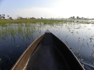 Botswana, Okavango Delta, mokoro, safari, afrika