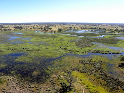Botswana, Okavango Delta, Safari, Afrika